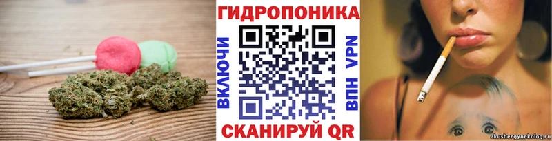 Купить закладки  Буйнакск  Cannafood марихуана 