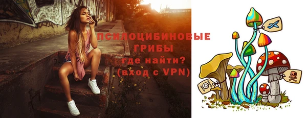 ешки Краснотурьинск
